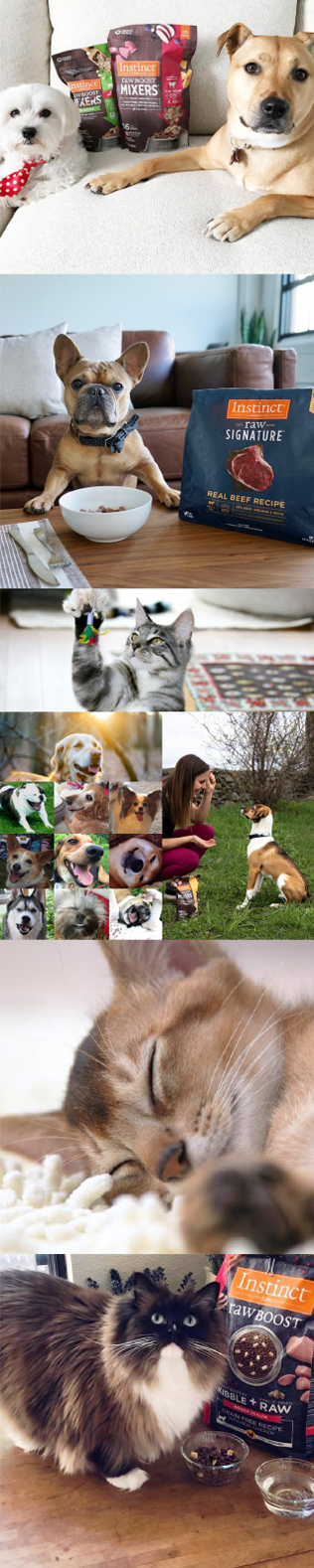Instinct raw petfood images インスティンクト 生ペットフードイメージ